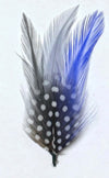 Feather 4” - Chicano Spot